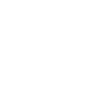 icono instagram